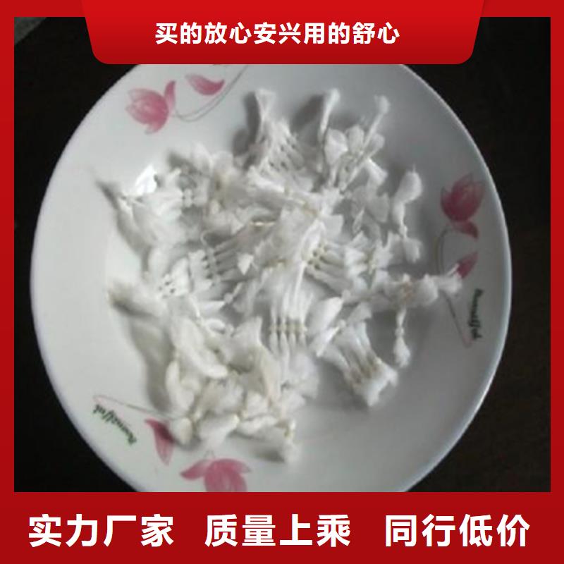 纤维球_沸石高品质现货销售售后无忧