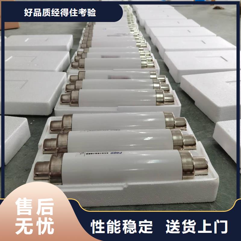 高压熔断器XRNP-10KV高压限流熔断器多种规格可选专注细节更放心