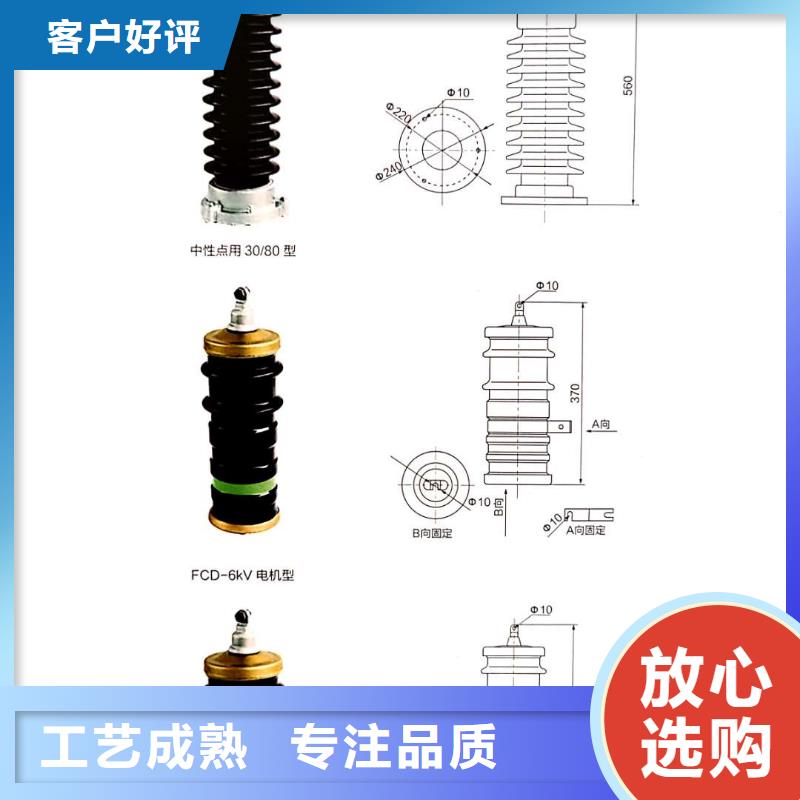 氧化锌避雷器高压保险丝保险管厂家实力大货源直供