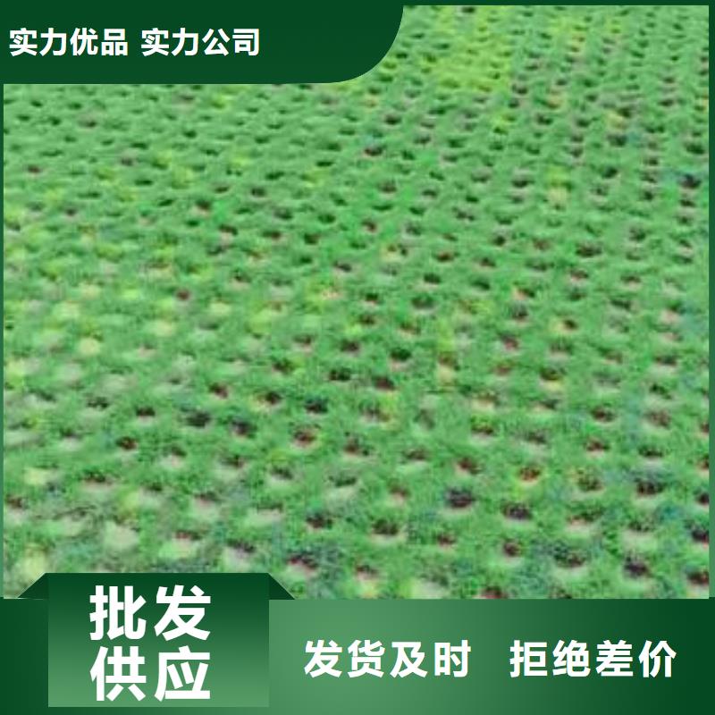 【植草格TPO防水卷材研发生产销售】信誉有保证