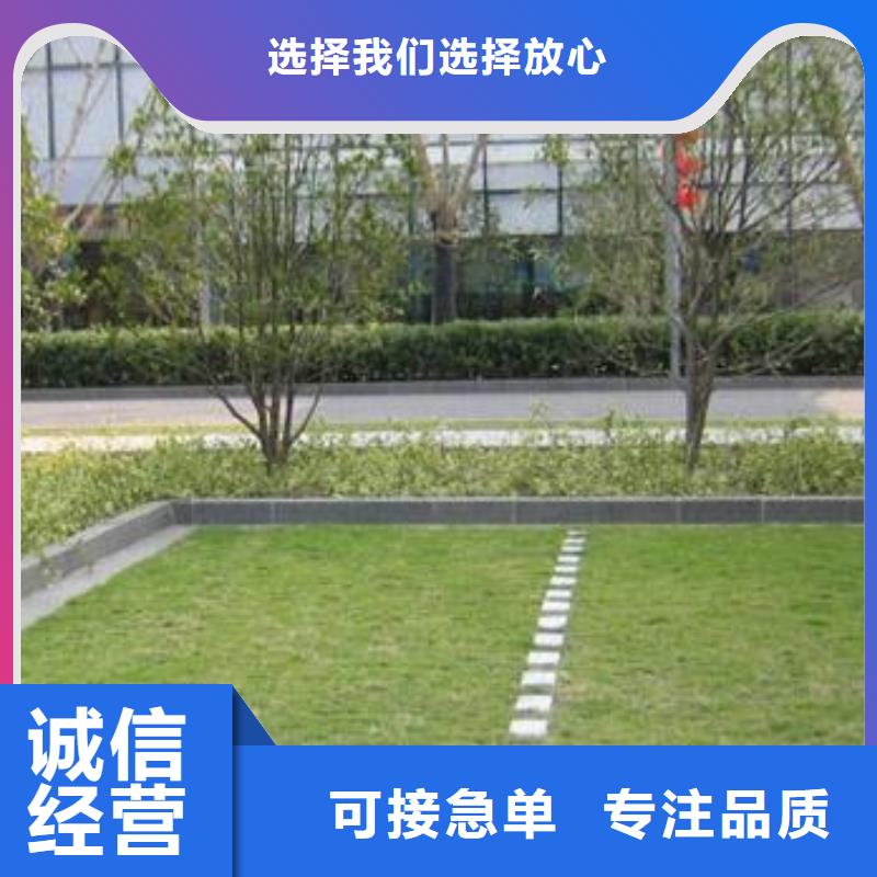 植草格【三维土工网垫】售后无忧自营品质有保障