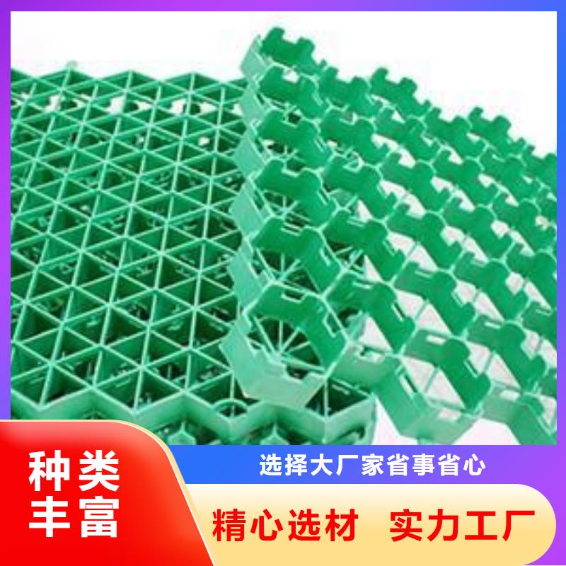 植草格塑料盲沟当日价格甄选好物