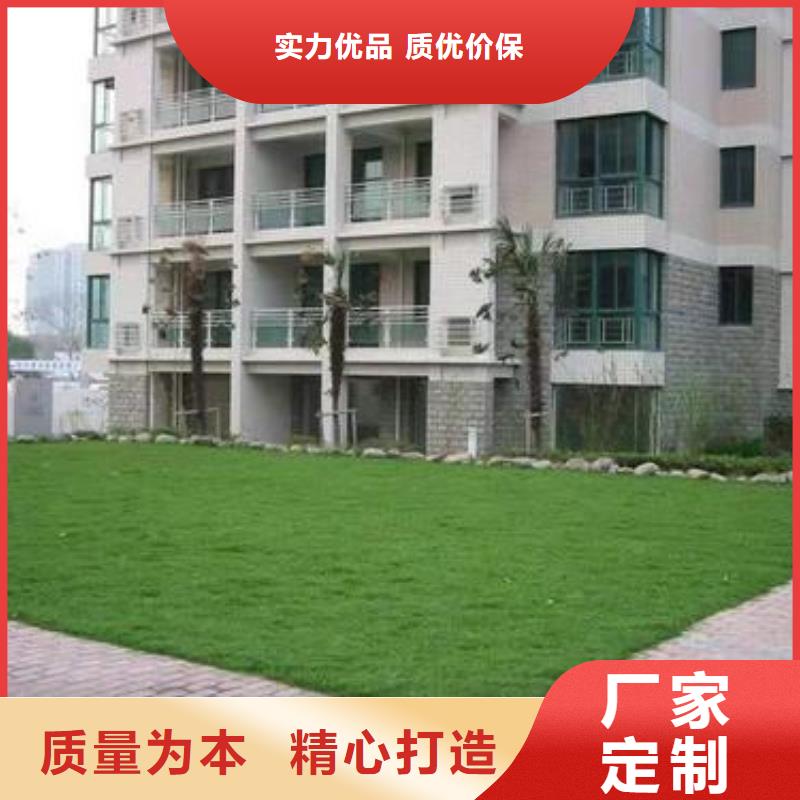 【植草格塑料土工滤网拒绝差价】批发供应