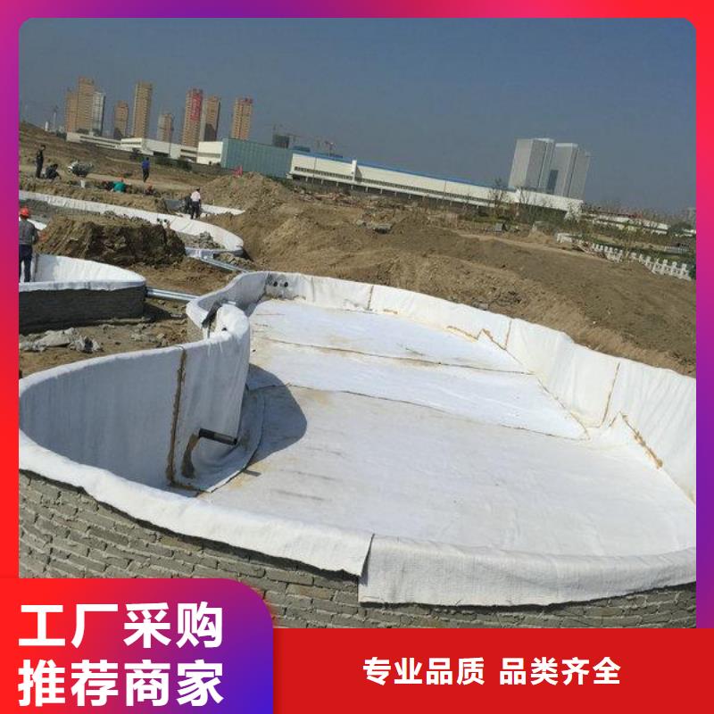 膨润土防水毯【三维土工网垫】品质优选来图定制量大从优