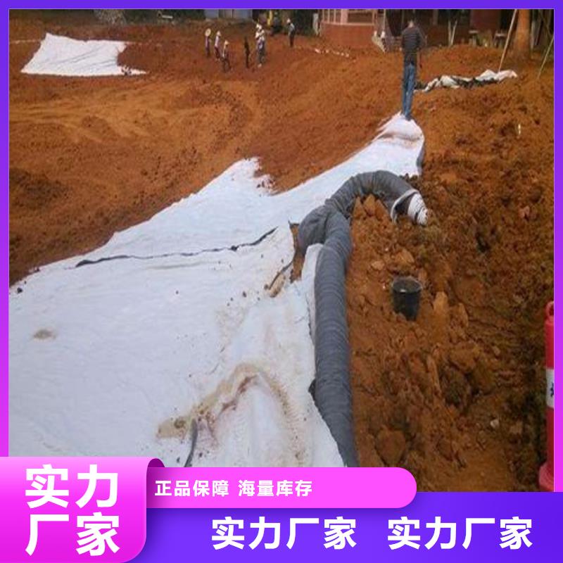 膨润土防水毯【玻纤土工格栅】一站式厂家附近生产厂家