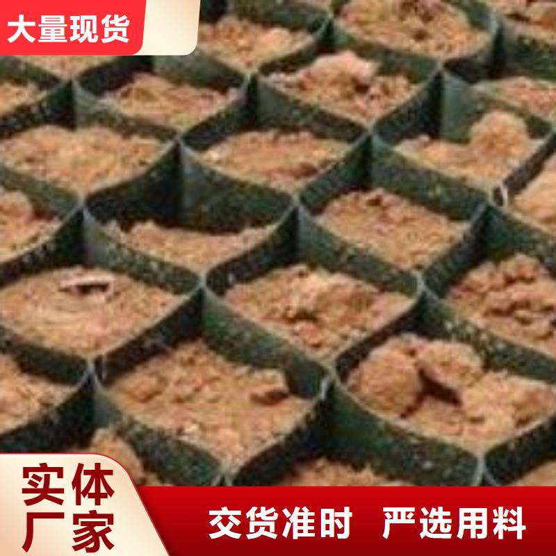 土工格室三维土工网垫实体厂家款式多样