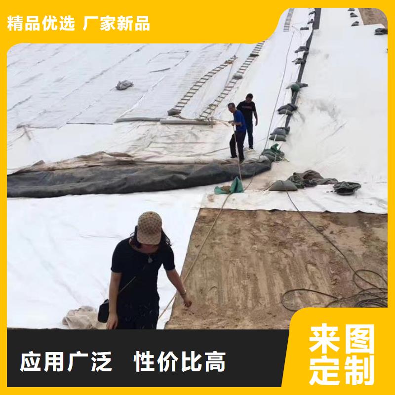 三维复合排水网钢塑土工格栅大品牌值得信赖厂家直销省心省钱