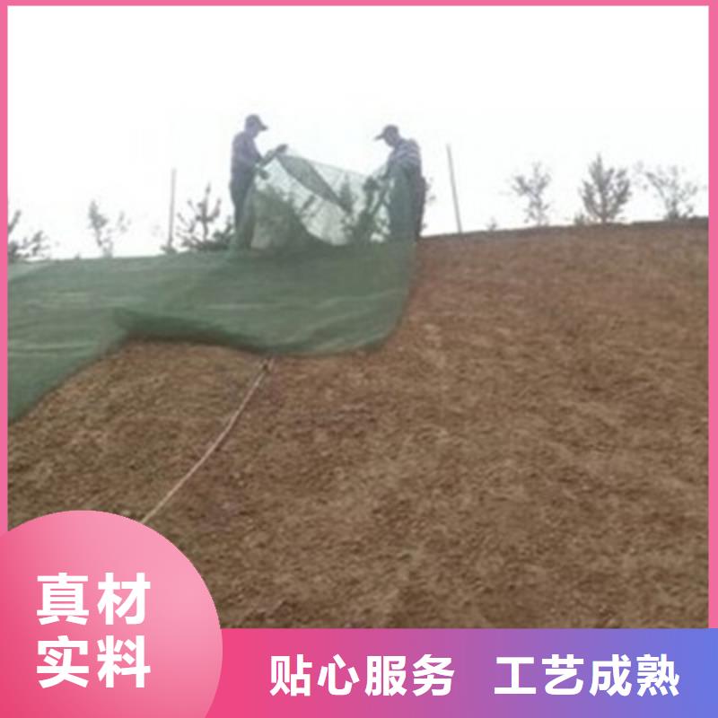 【三维植被网玻纤土工格栅实力优品】产品细节