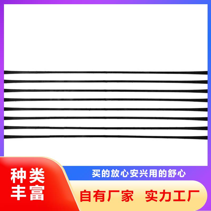 【单向拉伸塑料格栅】-水土保护毯批发商优良材质