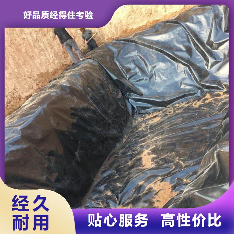 土工膜凸结点钢塑土工格栅厂家型号齐全拒绝中间商