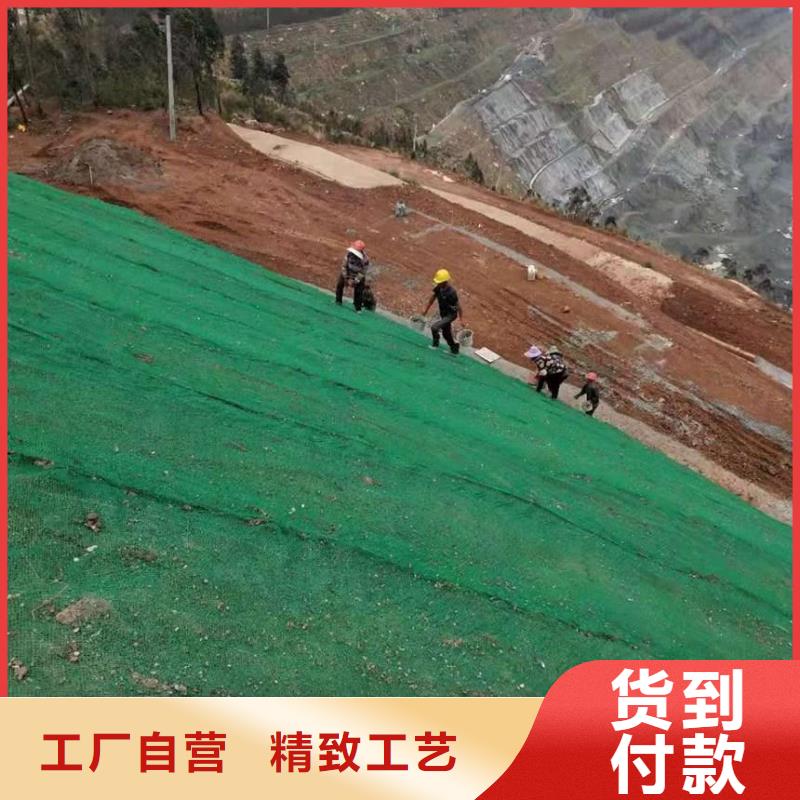 三维植被网水土保护毯定制速度快工期短海量货源