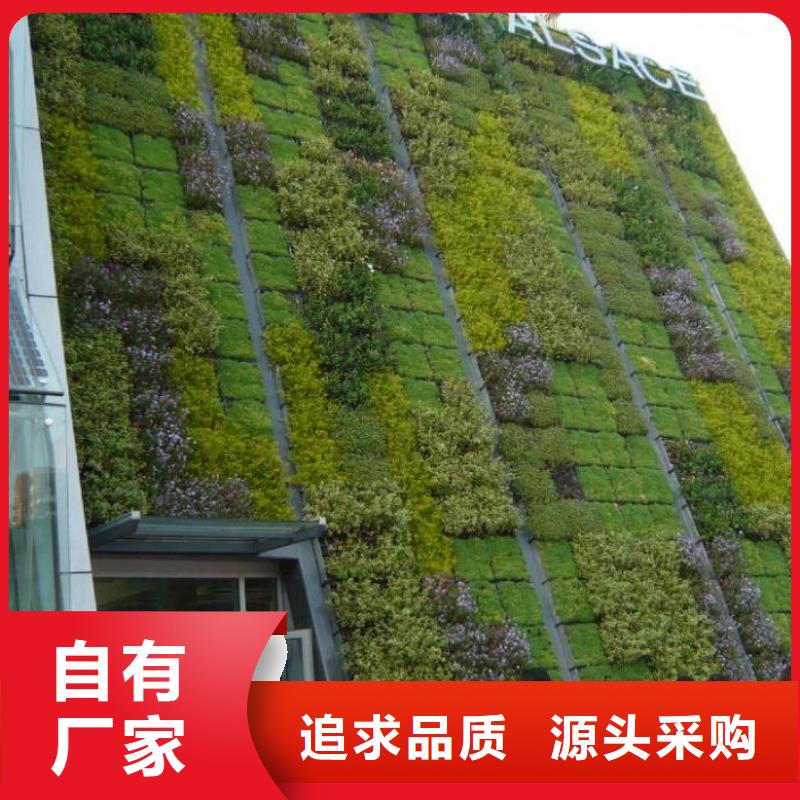 三维植被网土工席垫源头厂家供应【本地】生产厂家