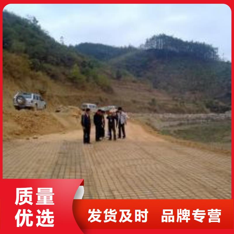 【钢塑土工格栅】-凸结点钢塑土工格栅常年供应专注产品质量与服务