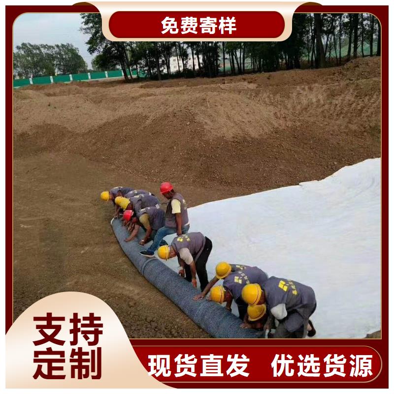 防水毯-【三维水土保护毯】定制速度快工期短附近生产商