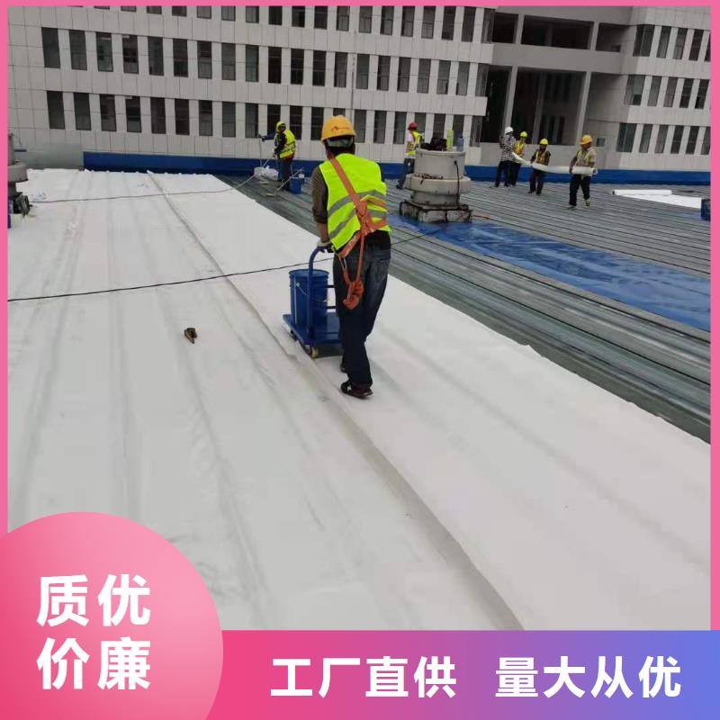 PVC【PVC防水卷材】48小时发货精心打造