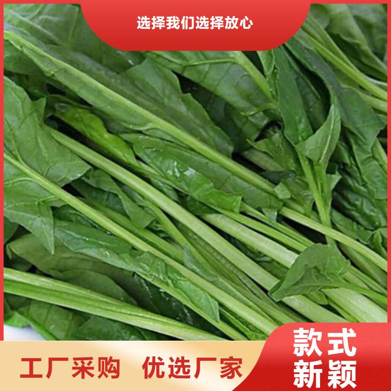 菠菜粉在线报价厂家实力大