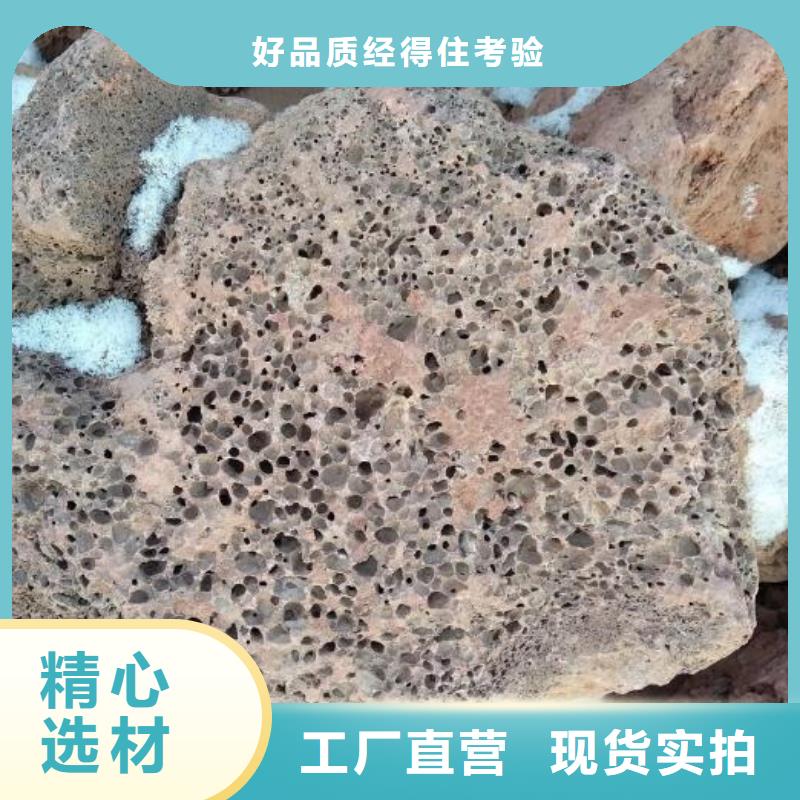 反硝化池用活山岩总代理专业品质