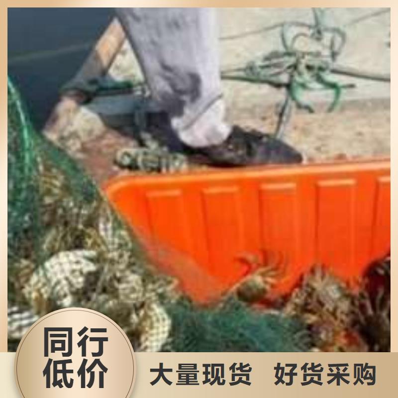 阳澄湖大闸蟹厂家-定制货源直供