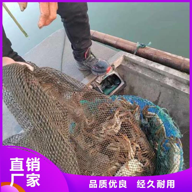 惠州市鲜活特大螃蟹礼券同城生产商