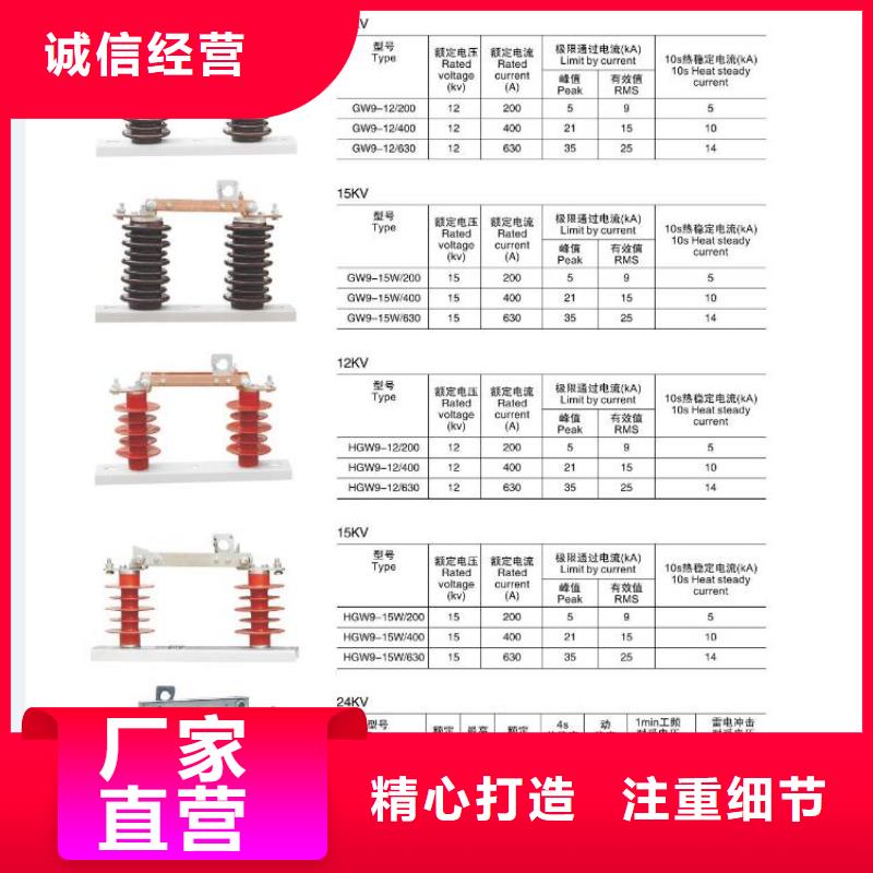 高压隔离开关-绝缘子精工打造厂家直发