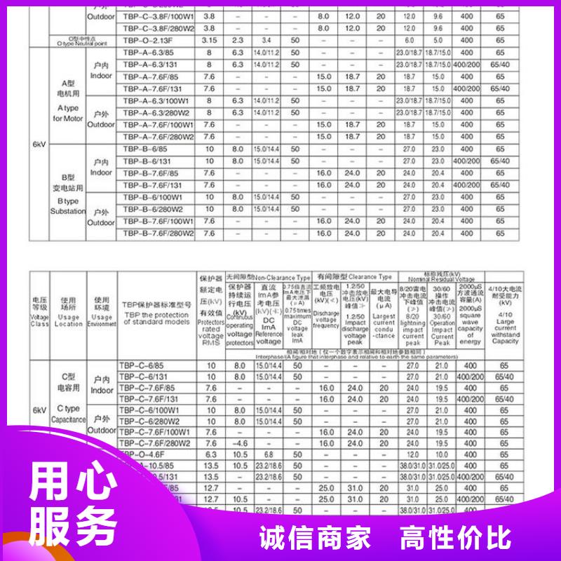 【组合式过电压保护器】TBP-B-42F/630W附近供应商