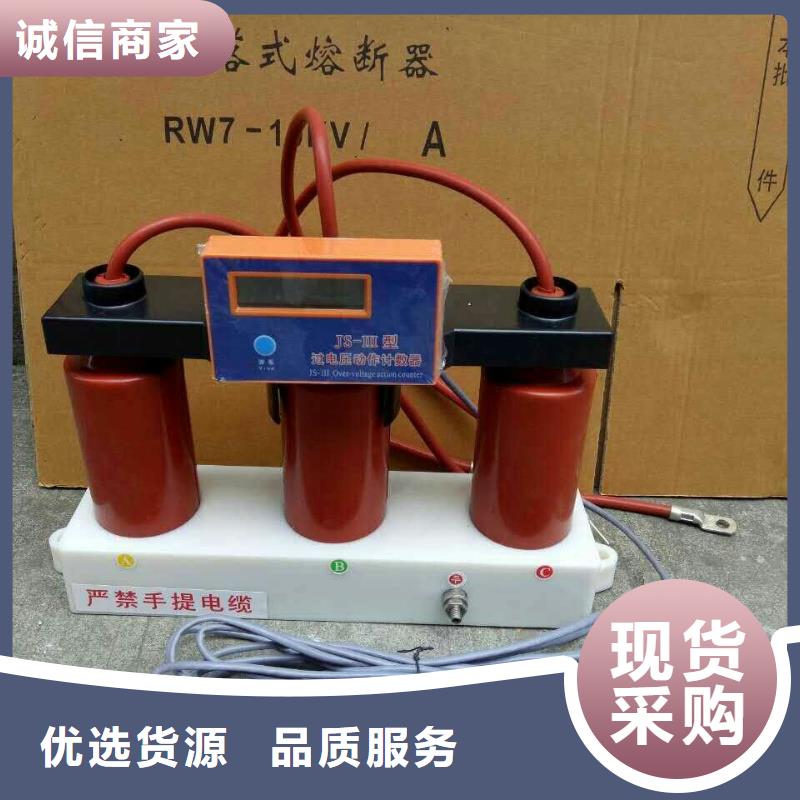 【】过电压保护器(组合式避雷器)BSTG-B-7.6/131通过国家检测