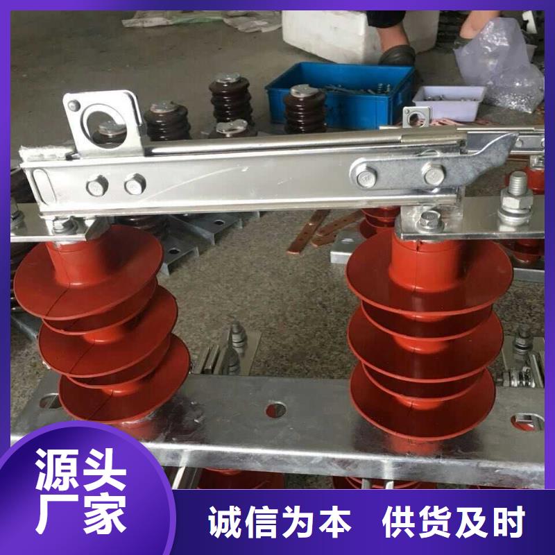 单极隔离开关GW9-10KV/1250A免费咨询品质无所畏惧