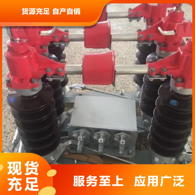 户外高压隔离开关HGW1-12KV/630当地供应商