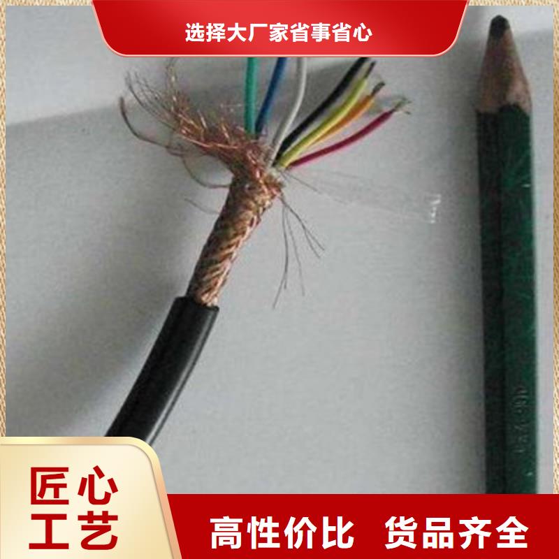 计算机屏蔽电缆DJVP2VP2-228X2X1.0敢与同行比质量