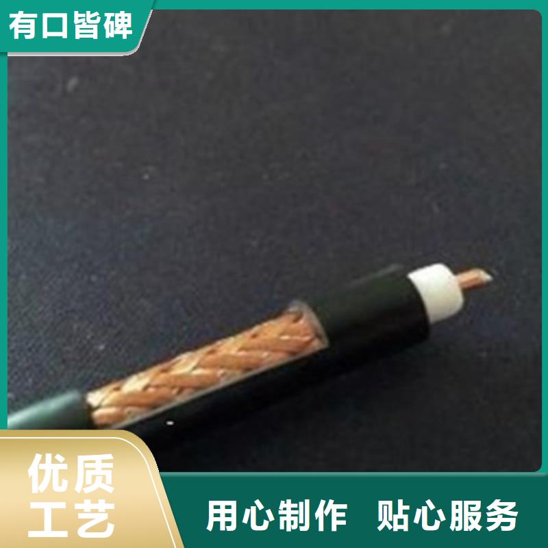 优质射频同轴电线SYVPVP的公司本地供应商