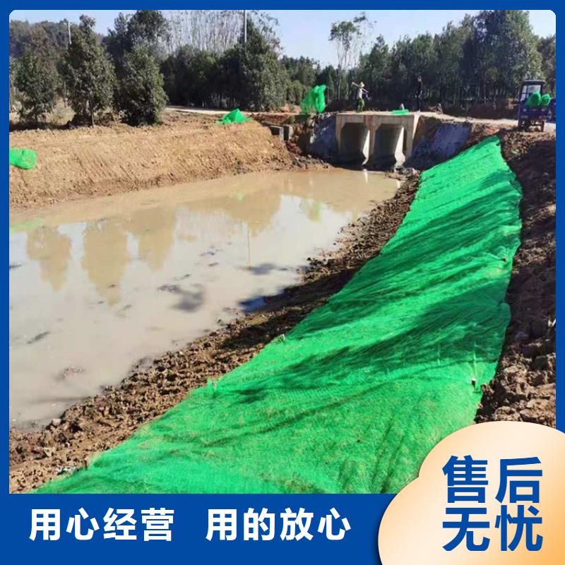 【三维植被网膨润土防水毯技术先进】当地经销商