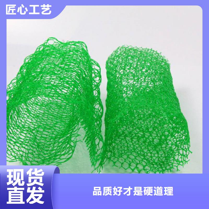 【三维植被网土工布满足客户所需】精工打造