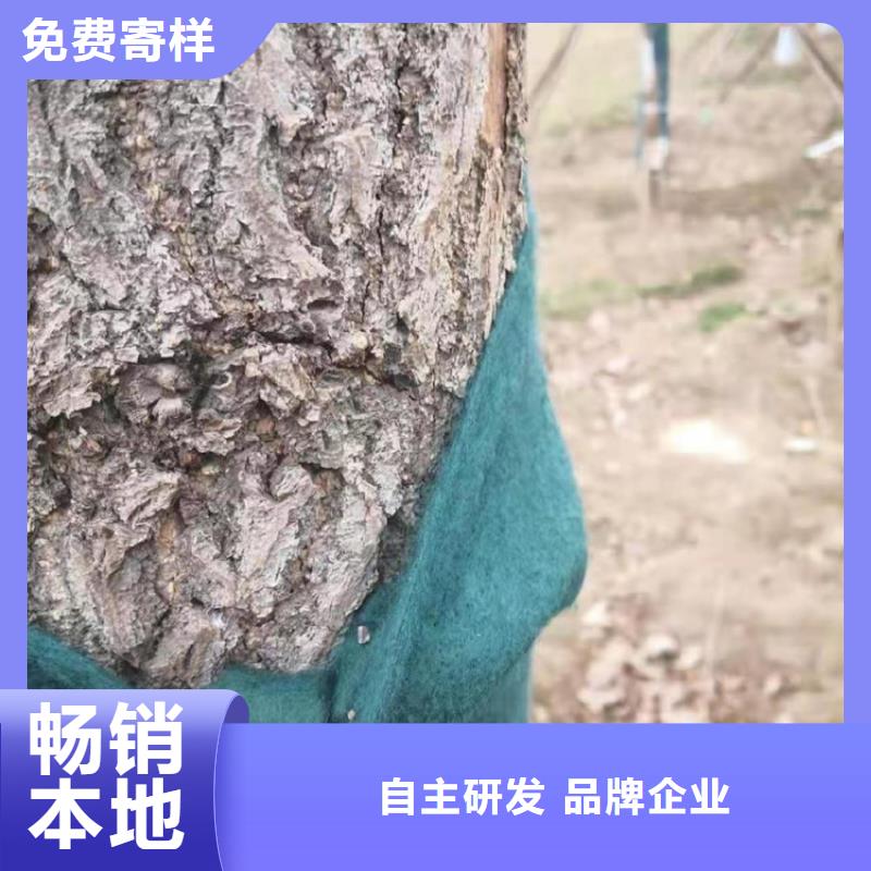 裹树布_【【保湿布】】质检合格出厂当地生产商