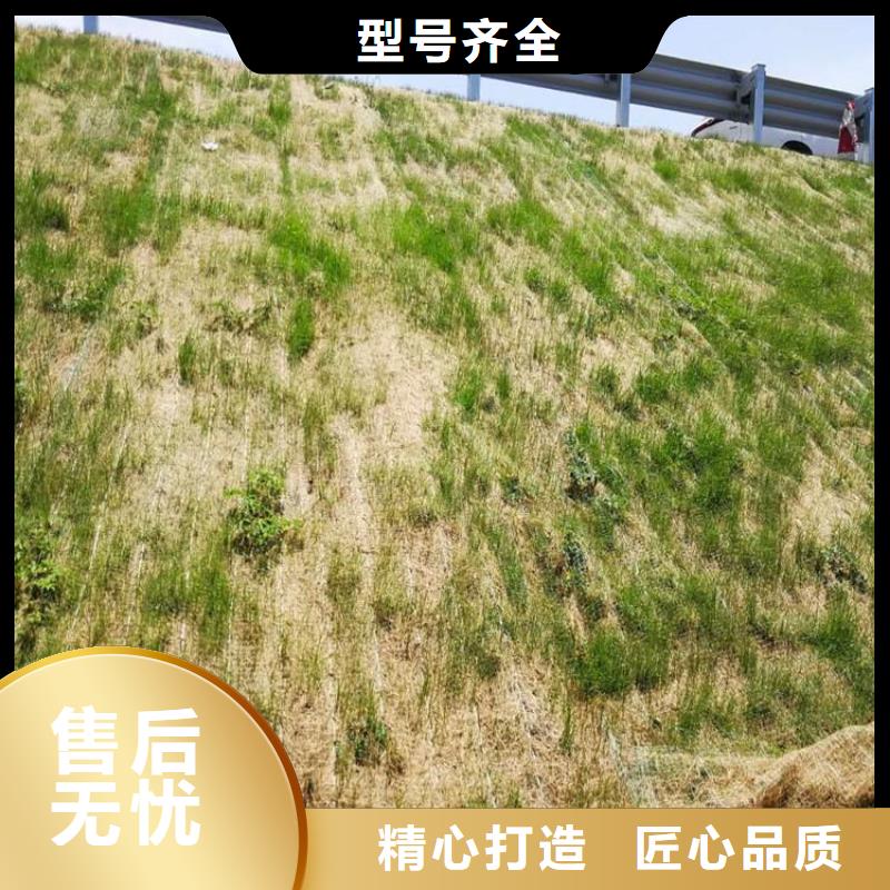 椰丝毯_膨润土防水毯真材实料信誉有保证