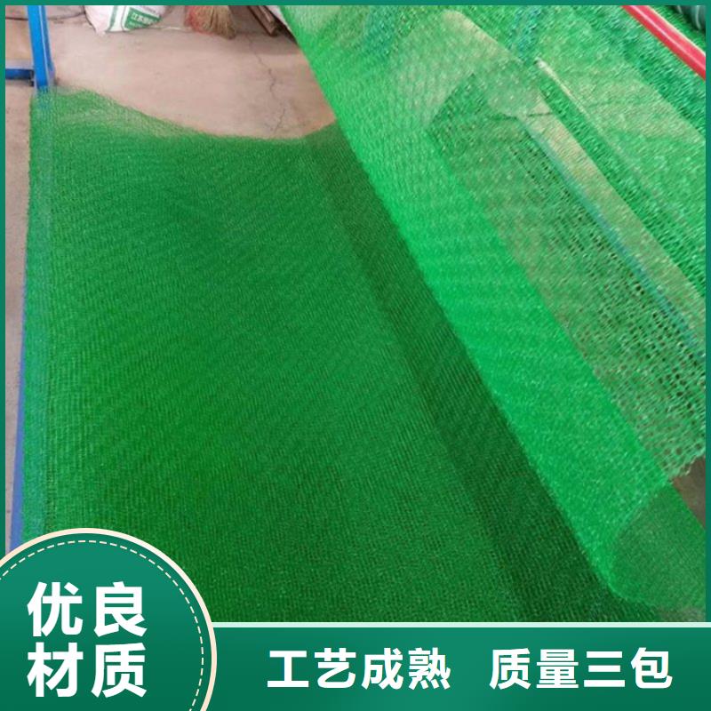 三维植被网双向塑料土工格栅高标准高品质匠心制造