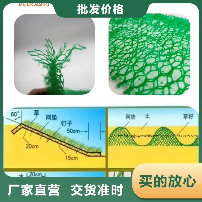 ​三维植被网土工膜多种规格供您选择专业信赖厂家