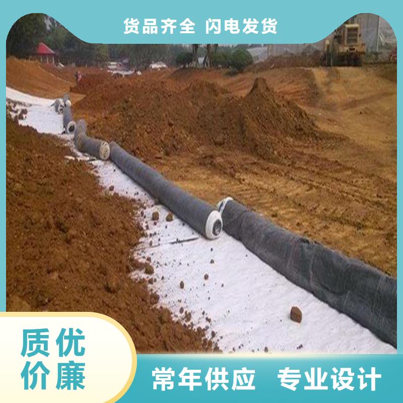 膨润土防水毯生态带商家直供当地生产厂家