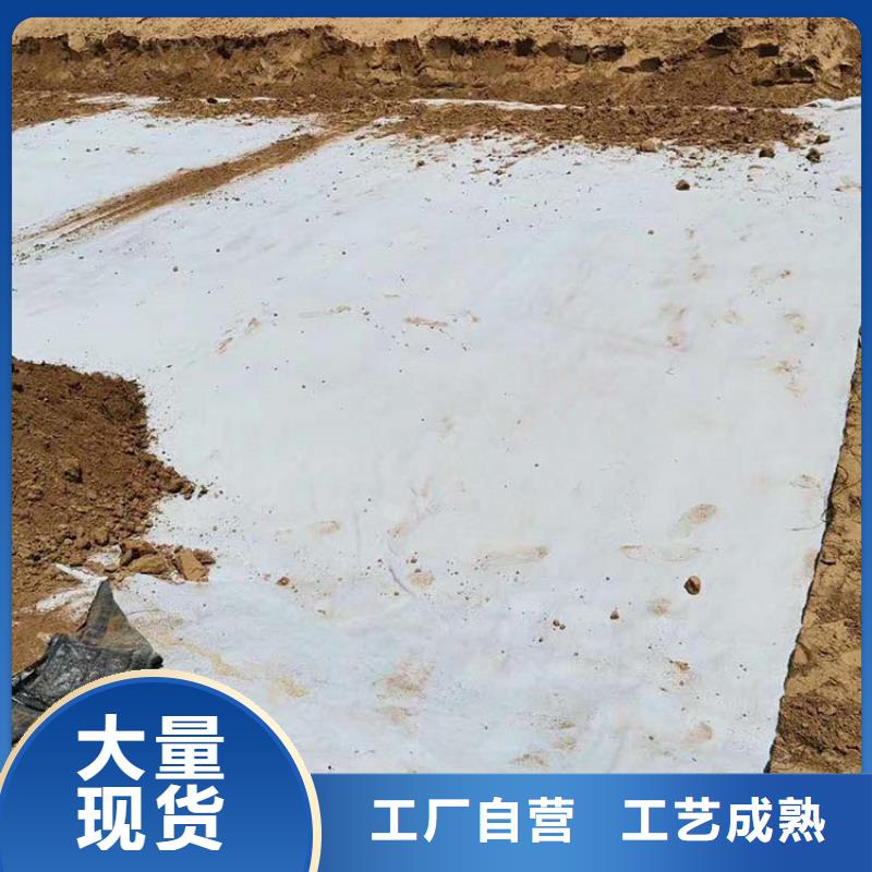 膨润土防水毯,【抗裂贴】一站式采购方便省心本地生产商