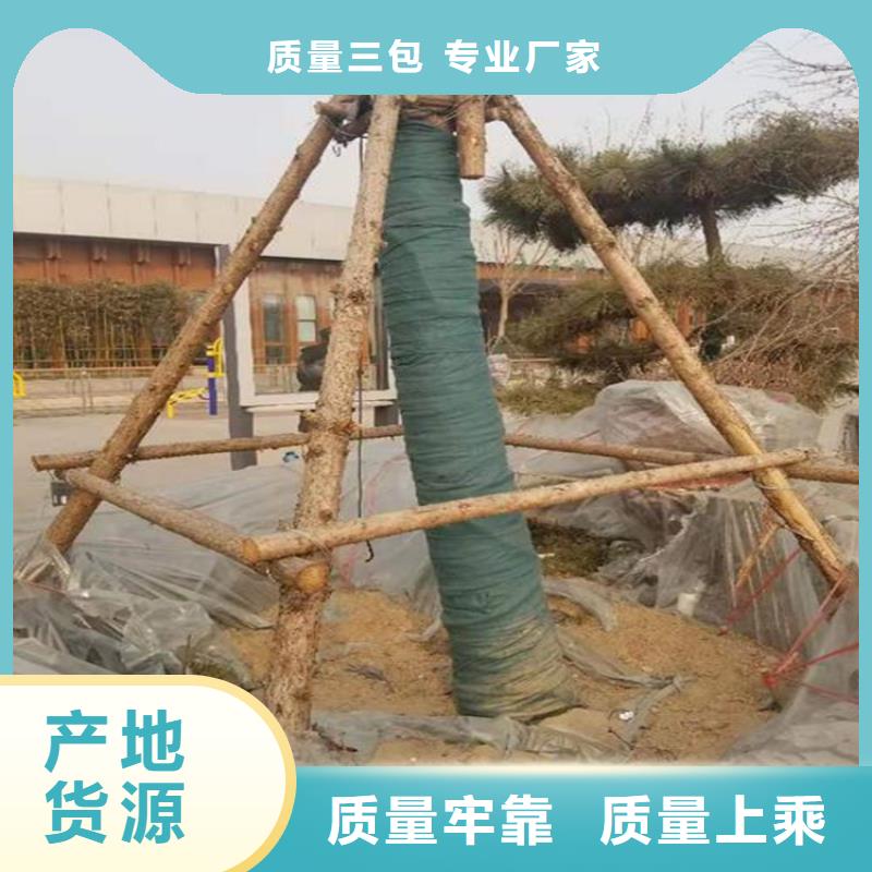 裹树布-土工膜厂家供应厂家售后完善