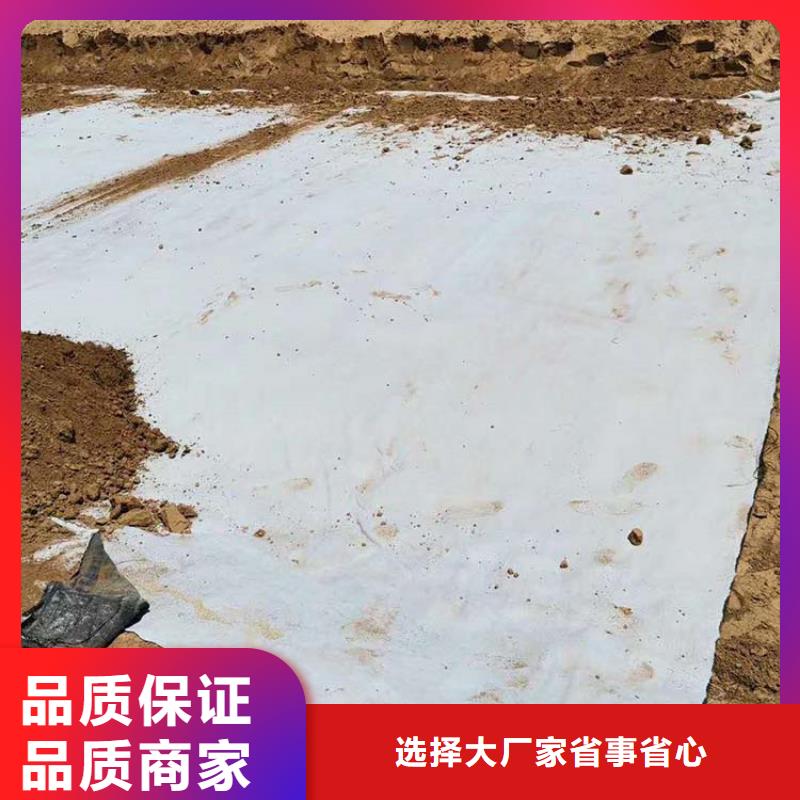 膨润土防水毯无纺布拥有核心技术优势<本地>制造商