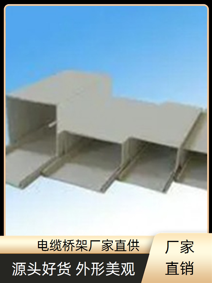 耐腐蚀桥架实力老厂坤曜桥架厂