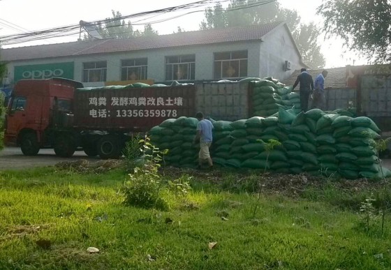 牡丹干鸡粪松软土壤