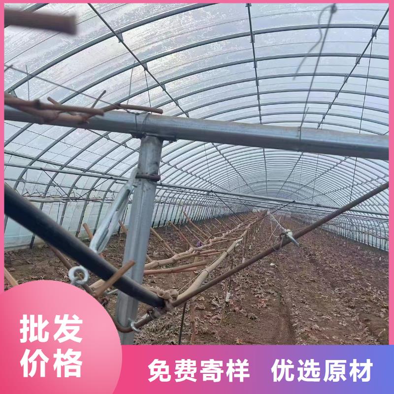 【薄膜连栋温室】【避雨棚】安装好品质经得住考验