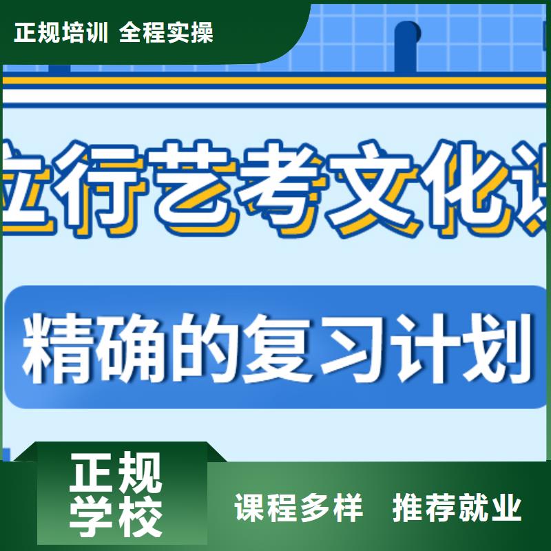 一年多少钱艺考文化课冲刺当地公司