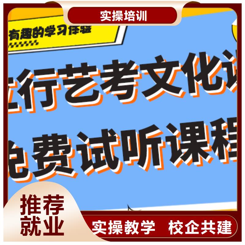 咋样？艺考生文化课补习班老师专业