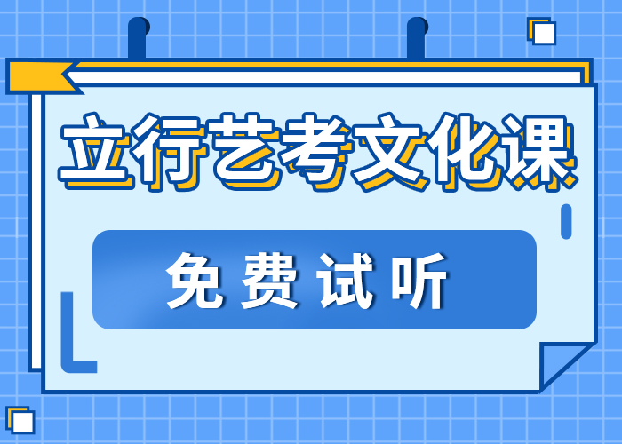 性价比高的艺术生文化课辅导集训学真技术