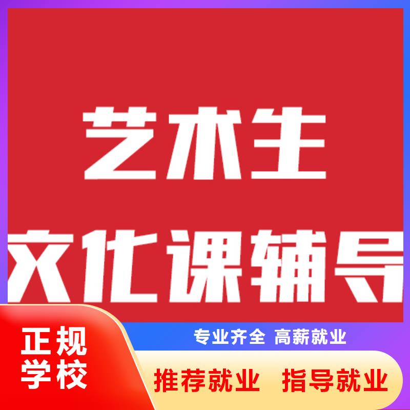 艺术生文化课辅导班好不好地址在哪里？当地供应商