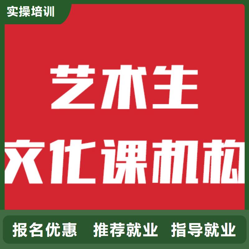 艺术生文化课补习哪家本科率高地址在哪里？本地厂家