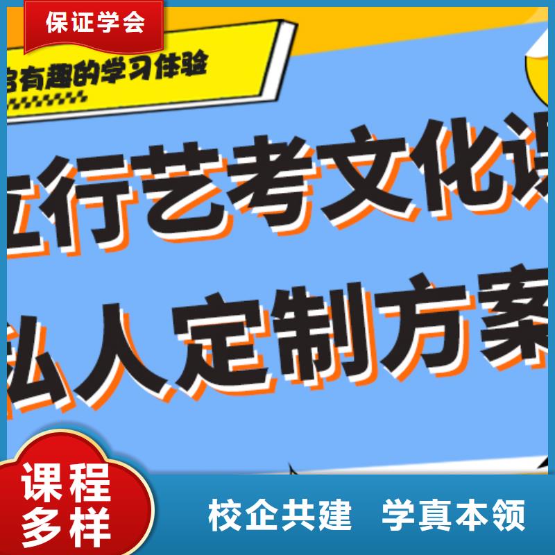 艺术生文化课补习学校排行当地厂家