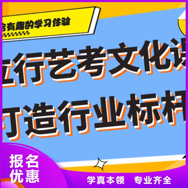 艺考生文化课培训补习哪里好精品小班课堂手把手教学